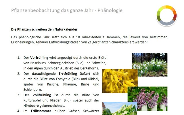 Einstieg in die Phänologie