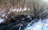 Biber Stauwehr, Kufstein-Langkampfen