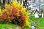 Frühling in Kufstein 05.04.14
