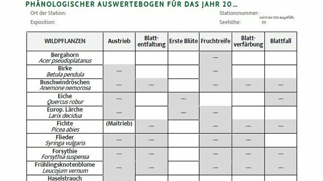 Beobachtungsformular