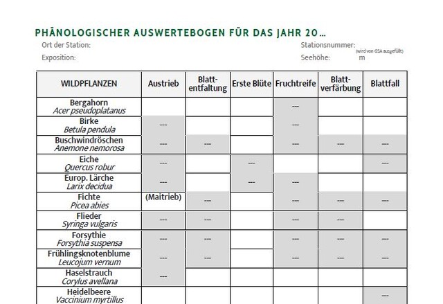 Beobachtungsformular