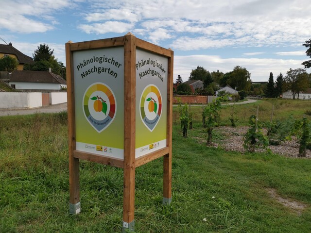 Phänologischer Naschgarten
