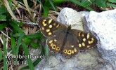 Waschbrettspiel,Kalaalm