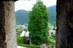 Sommerlinde Festung Kufstein